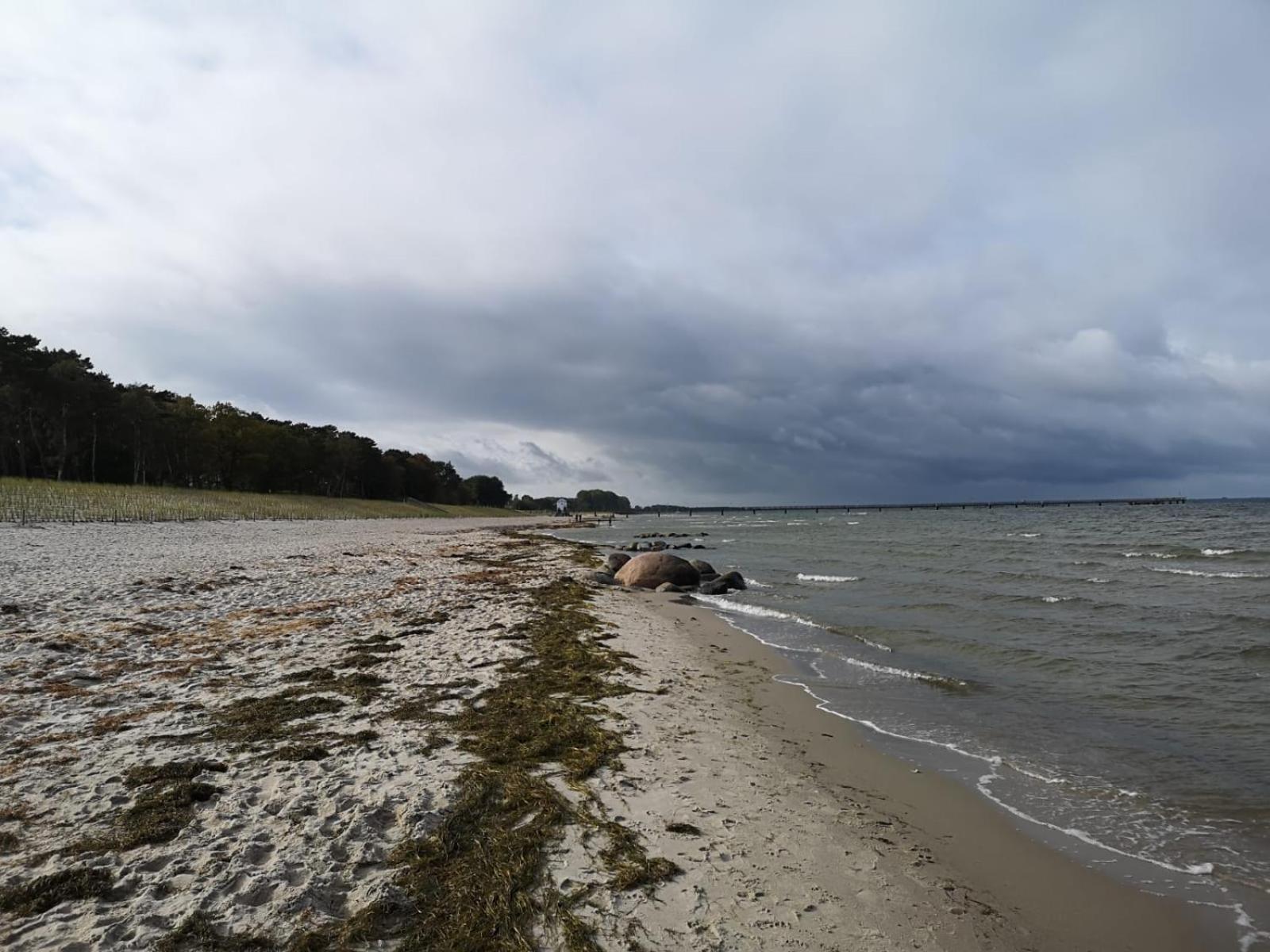 Ferienwohnungen "Weitblick" Und "Schwalbennest" Lodmannshagen Habitación foto